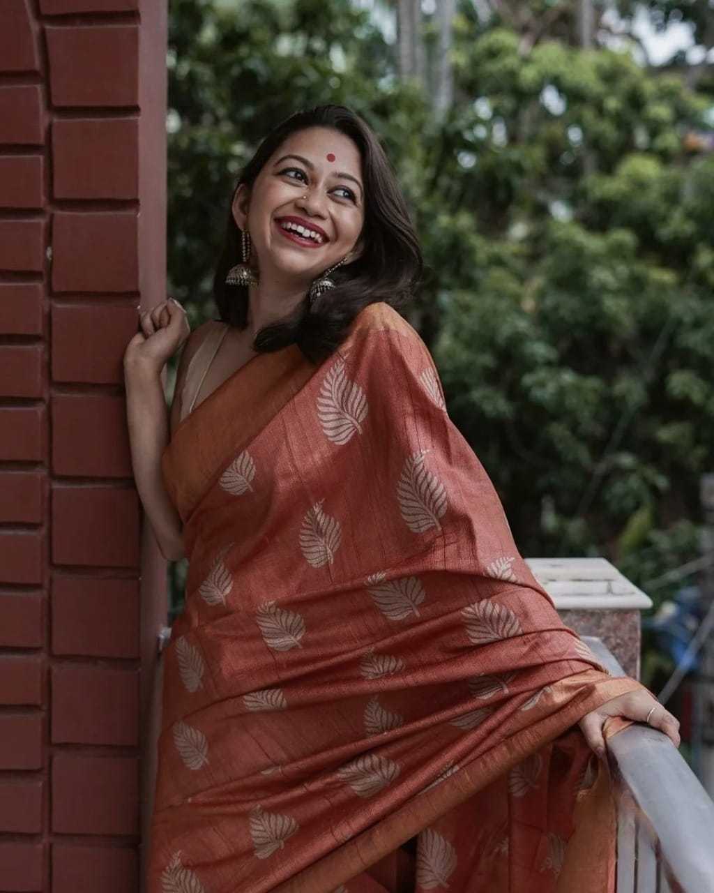 Rust Brown Banarasi Jari Silken Saree