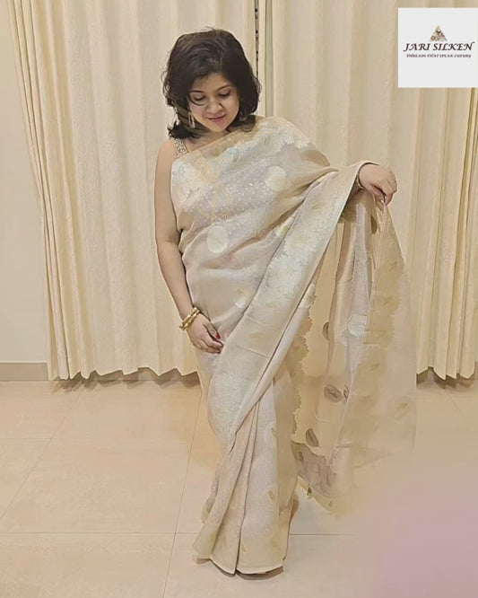 Golden Tissue Silver Tanchoi Banarasi Jari Silken Saree